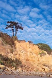 Cliff with trees and shrubs, nice clouds