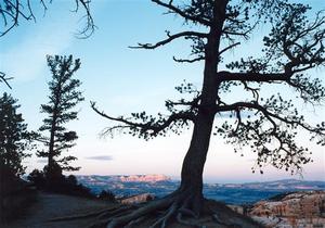 Bryce Canyon