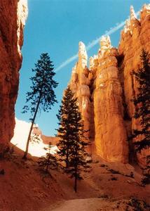 Bryce Canyon, from inside with trees