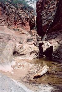 Stream at the bottom of gorge, Zion