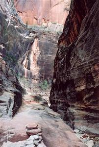 Canyon walls, Zion