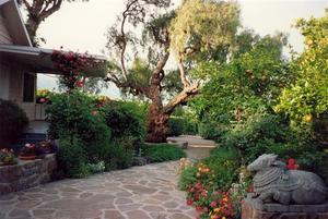 Pine Cottage patio with statue and Pepper Tree
