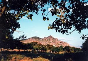 Rocky hills and trees along road, through foliage, Rishy Valley