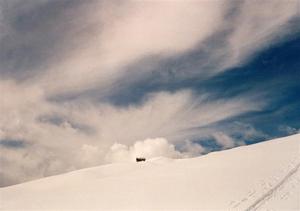 Hut on snow covered hill