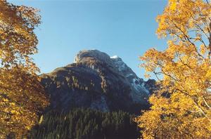 Mountain in Lauenensee