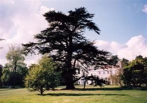 Brockwood Park South Lawn