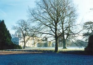 School on a blue winter morning