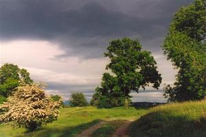 Sunlight path on wooded meadow, with storm cloud