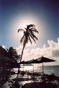 Back lit palm tree and hotel terrasse, Sta. Lucia