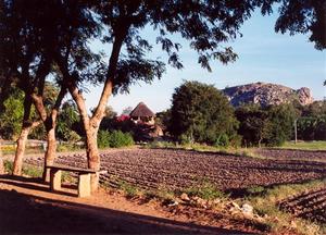 Rishi Valley field, trees and hut