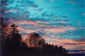 Sunset over forest above Lake Constanz