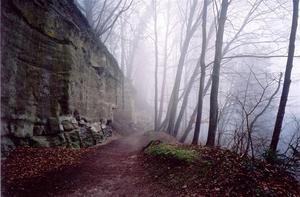 Path along cliff a thru misty forest