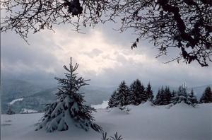 Clouds and snow covered mountains, black forest