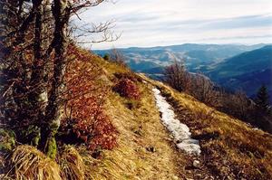 Snow melting on trekking path