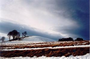 Snow, field and grey sky