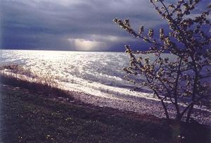 Sunrays thru rain clouds over french alps, tree and beach at the front