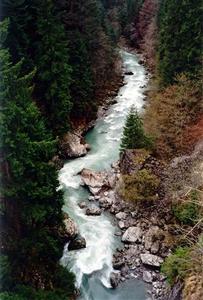 View of narrow mountain stream and trees from above