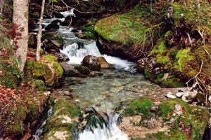 Close view of stream and mossy rocks