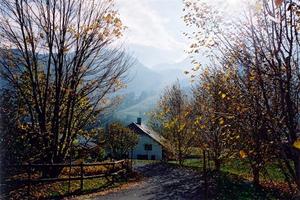 Driveway between Doctor's house and Solitude