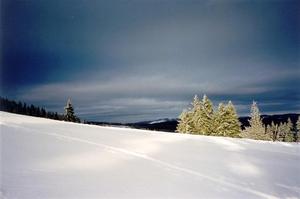 Snow covered hill and pine trees against dark blue sky