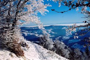 Blue hills and sky behind snow covered path & trees