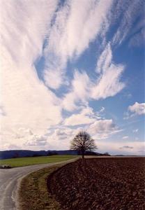 White vertical clouds above tree, path and fields