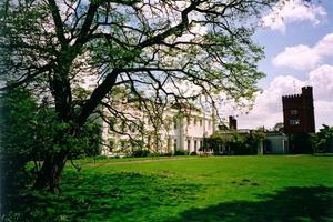 Main house and tower behind trees, south lawn