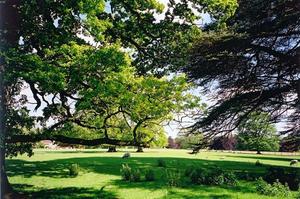 Centre behind trees and fields