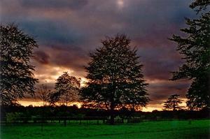 Dark heavy sky as sun sets behind trees and fields