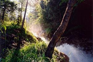 Torrential mountain stream