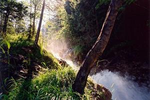 Torrential mountain stream