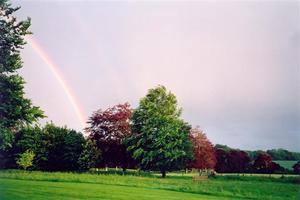 Bench and trees near center, rainbow, sun and wind
