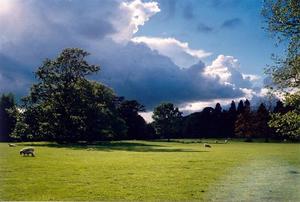 Blue stormy clouds over blue sky, sun on field and sheep