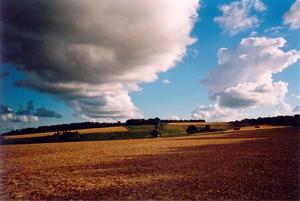Clouds over yellow fields