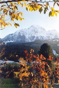 Yellow leaves, snow covered Videmanette, red hazel leaves