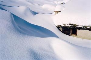 Snow all the way to the top of sheppard's house