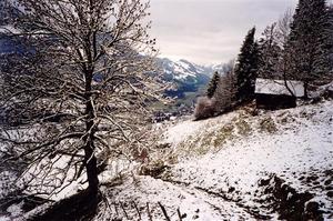 Tree, path and hut in snow foreground Sfee