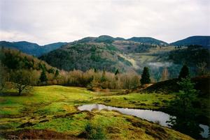 Pond in green meadow and hillls