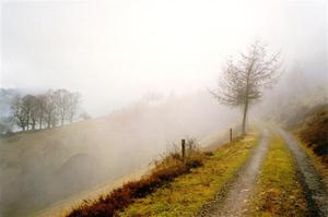 Path entering mist