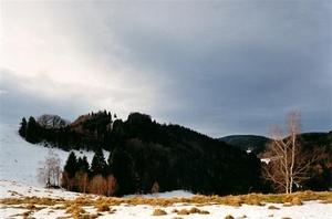 dark forest, snow on hill hazy sky