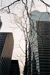 Buildings in Chicago