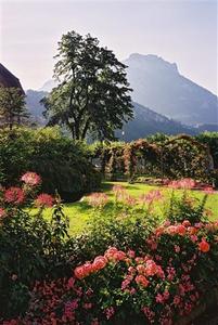 Near the clinic in Brunnen