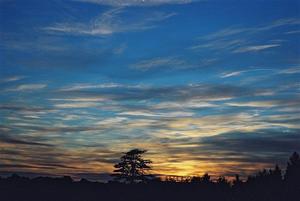 Sunset at Brockwood Park