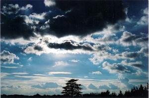 Near Brockwood Park