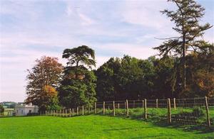 Fenced road to the Lodge