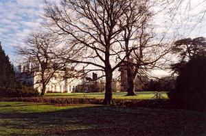 School and trees from football field