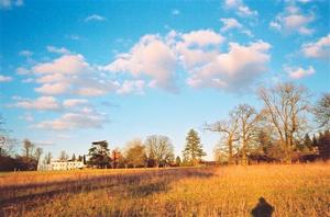 School and Center from field