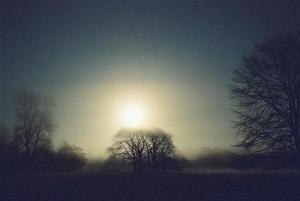 Pale and hazy winter sun