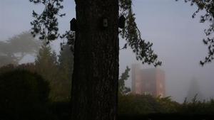 3312_medium