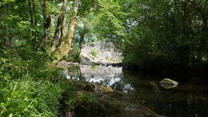 Still waters
